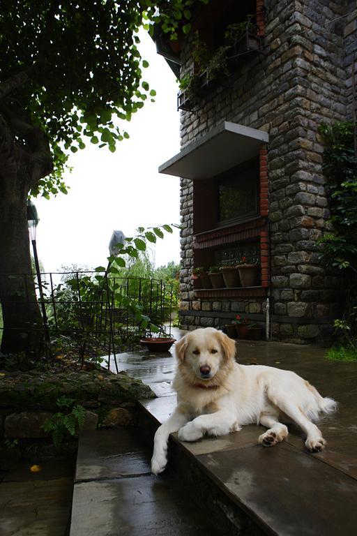 Saffronstays Himalaica, Nainital Bhowali Exteriör bild