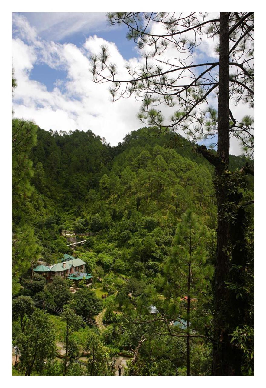 Saffronstays Himalaica, Nainital Bhowali Exteriör bild